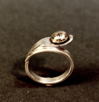 jewel: ring1