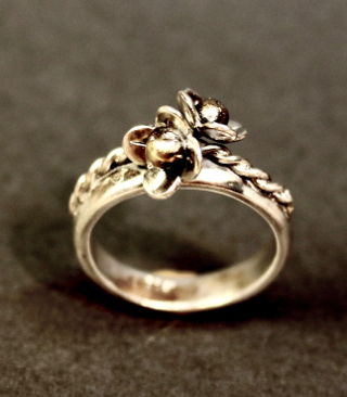 jewel: ring2